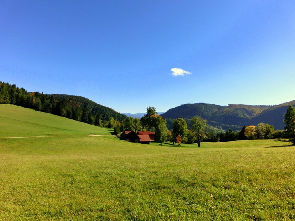 Gaestehaus Forstner Loich Zewnętrze zdjęcie