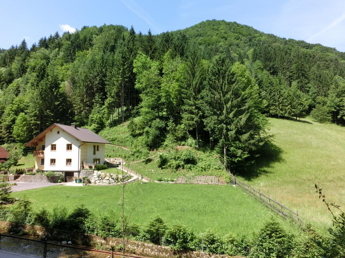 Gaestehaus Forstner Loich Zewnętrze zdjęcie