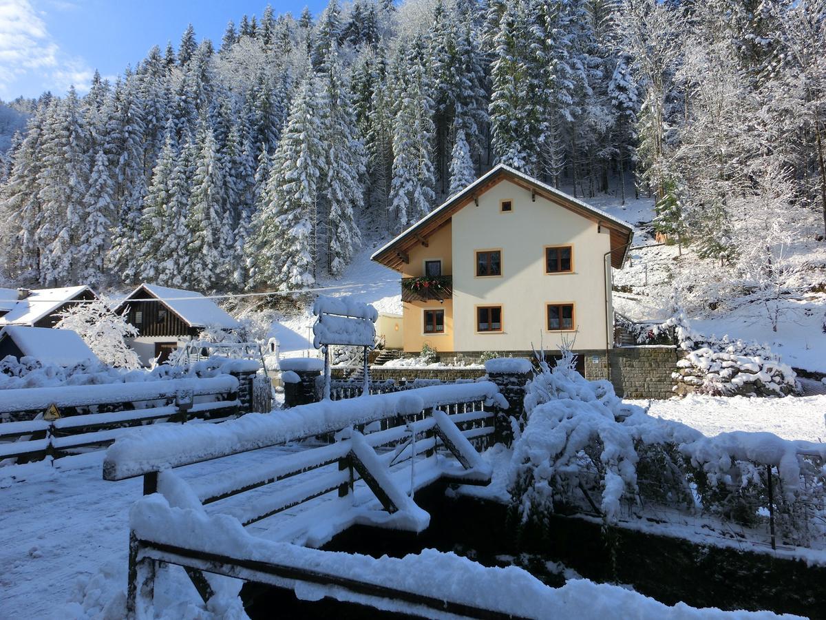 Gaestehaus Forstner Loich Zewnętrze zdjęcie